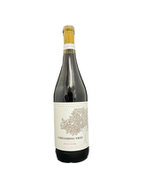 Load image into Gallery viewer, Dreaming Tree Pinot Noir 750ML
