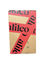 Load image into Gallery viewer, Alileo Syrah 1.5L
