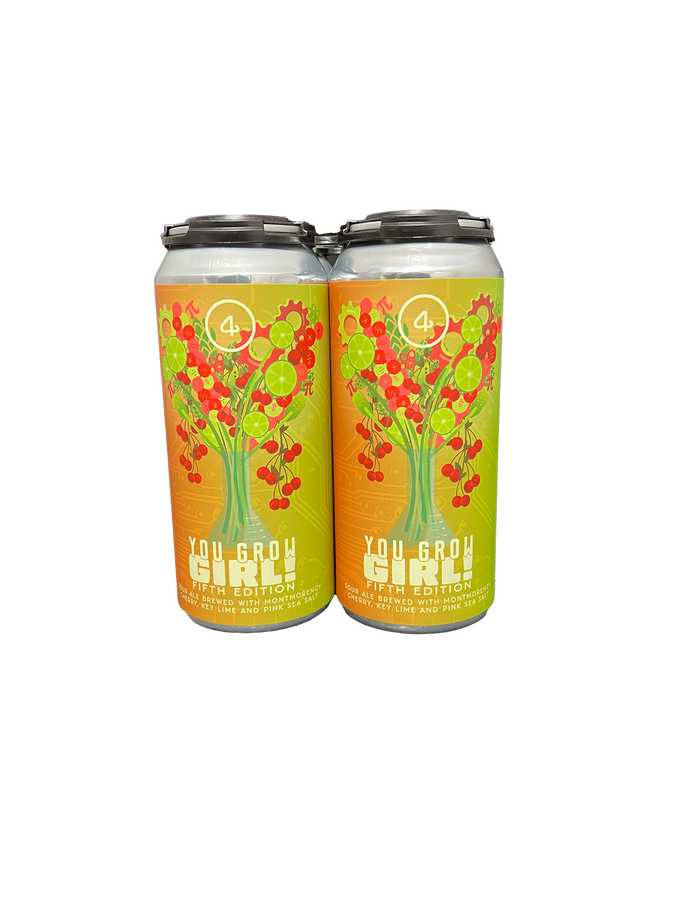 4 Noses You Grow Girl Sour Ale 4 Pack Cans