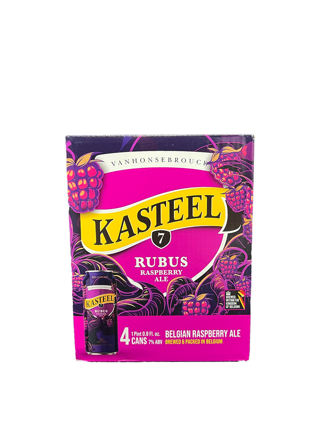 Kasteel Rubus Raspberry Ale 4 Pack Cans