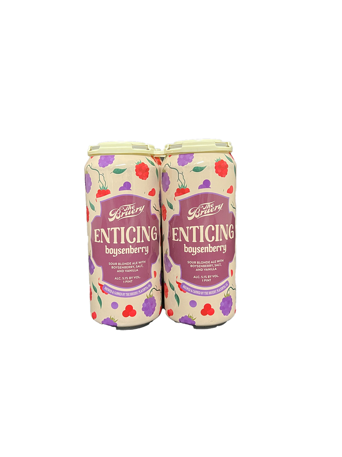 The Bruery Enticing Boysenberry Sour 4 Pack