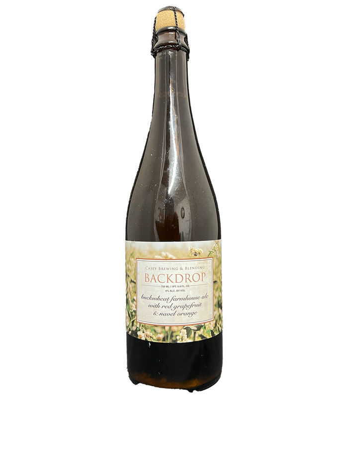 Casey Brewing Backdrop Farmhouse Ale 750ML Bottle